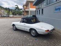 Occasion Alfa Romeo Spider Veloce 118 PK (86 kW) 1968 Wit Cabriolet