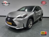 Occasion Lexus NX300h Sport Line 2015 Grijs SUV