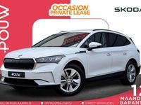 Occasion Skoda Enyaq iV Selection 150 kW (204 PK) 2024 Wit SUV