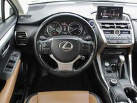 tweedehands Lexus NX300h Business Line Automaat | Navi | Camera | Leder | C