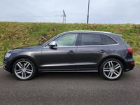 tweedehands Audi SQ5 Q5 3.0 TDIQuattro Pro Line|DEALERONDERH.|PANO|B&