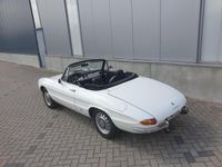 Occasion Alfa Romeo Spider 118 PK (86 kW) 1969 Wit Cabriolet