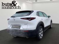 Occasion Mazda CX-30 Selection 179 PK (131 kW) 2020 Overige SUV