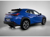 Occasion Lexus UX 184 PK (135 kW) 2020 Blauw SUV