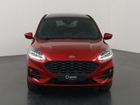 Occasion Ford Kuga ST-Line X 2026 Rood SUV