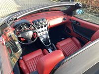 tweedehands Alfa Romeo Spider SPIDER 3.0-12V V6 L Bloed mooiered style !!