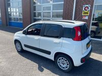 tweedehands Fiat Panda 0.9 TwinAir Lounge