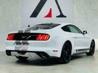 tweedehands Ford Mustang Fastback 2.3 EcoBoost/Performance Pack(Bij 2016)