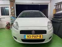 tweedehands Fiat Punto 1.2 Actual