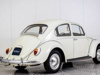 tweedehands VW Beetle 1200