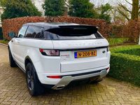 tweedehands Land Rover Range Rover evoque Coupe Si4 Dynamic