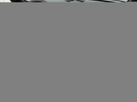 tweedehands Mini Cooper Cabriolet Roadster 1.6 Chili | NL-auto | Leder | Navigatie | Xenon | Parkeersensoren