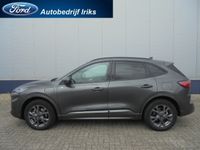Afbeelding 3