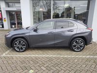 Occasion Lexus UX 250h Luxury Line 184 PK (135 kW) 2023 Grijs SUV