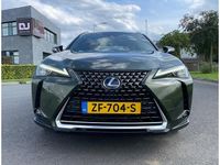 Afbeelding 3