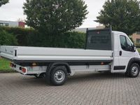 Afbeelding 3