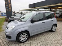 Occasion Fiat Panda 69 PK (50 kW) 2021 Grijs Hatchback