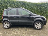 tweedehands Fiat Panda 4x4 1.2 Professional