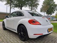 tweedehands VW Beetle 1.2 TSI Trend Cruise Control Sportvelgen