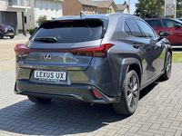 Occasion Lexus UX 250h Sport Line 184 PK (135 kW) 2023 Grijs SUV