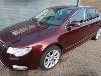Occasion Skoda Superb Business Line 260 PK (191 kW) 2009 Rood Hatchback