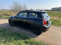 tweedehands Mini Cooper 1.5 Chili. Panoramadk,Navi head up,LED,Camera Park ass !! Volle auto !!