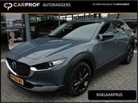 Afbeelding 1