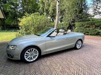 Occasion Audi A5 Cabriolet 211 PK (155 kW) 2009 Beige Cabriolet