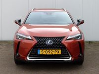 tweedehands Lexus UX 250h Style | Stoel/stuurwielverwarming | Dodehoek | Par