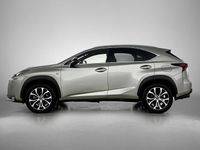 Occasion Lexus NX300h Sport Line 197 PK (144 kW) 2015 Grijs SUV