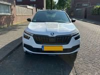 Afbeelding 2