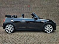 tweedehands Mini Cooper S Cabriolet Chili S.Bus. Automaat Prof-Navi Leder Led H&Kardon