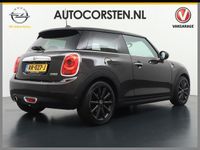 tweedehands Mini Cooper 1.5T 136pk Sport-St+Leer Navi-Pro 17" Dual-ECC Mul