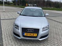 tweedehands Audi A3 1.6 Attraction B.E.