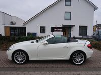 Occasion Mercedes SLK200 Sport Edition 184 PK (135 kW) 2008 Wit Cabriolet