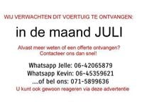 Afbeelding 2