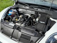 Occasion VW Beetle Cabriolet Cup 105 PK (77 kW) 2015 Wit Cabriolet