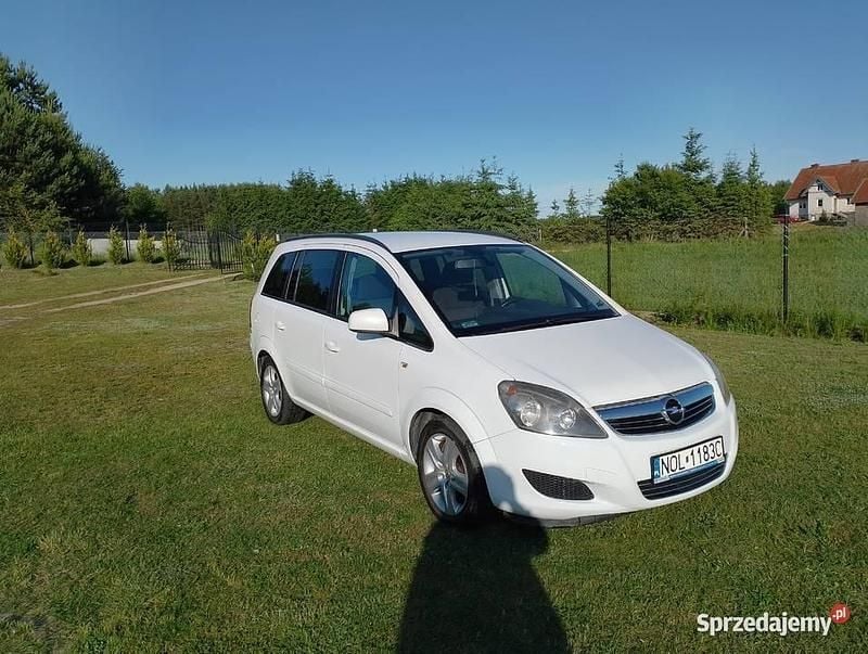 Biały Używany 2010 Opel Zafira Minivan | 9600 zł (Dobra cena) - Obraz 1/4