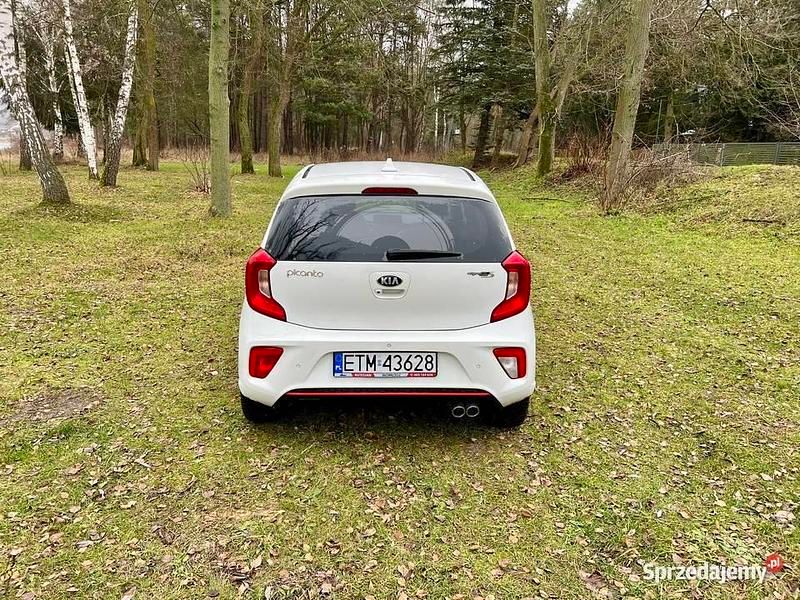 Używany Kia Picanto GT-Line S 84 KM (61 kW) 2019 Hatchback