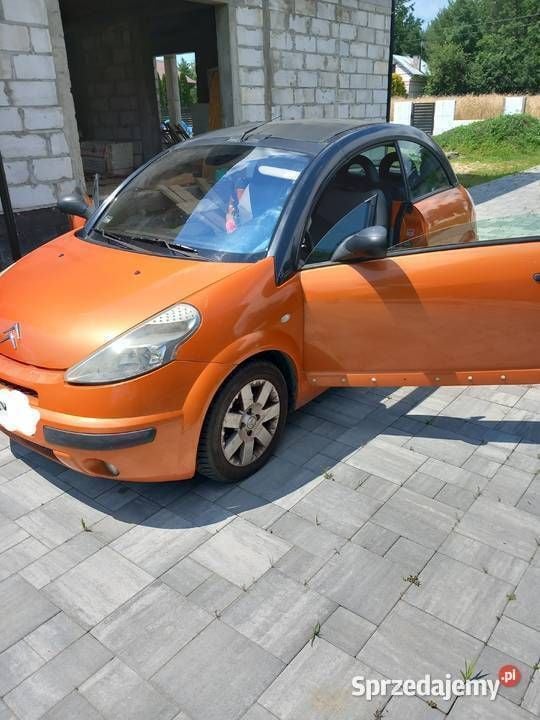Obraz 3/3