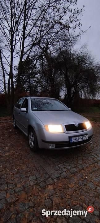 Srebrny Używany 2003 Skoda Fabia Kombi | 4000 zł (Uczciwa cena) - Obraz 1/4