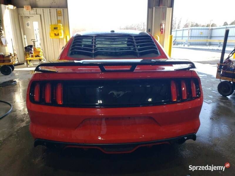Używany Ford Mustang 317 KM (233 kW) 2017