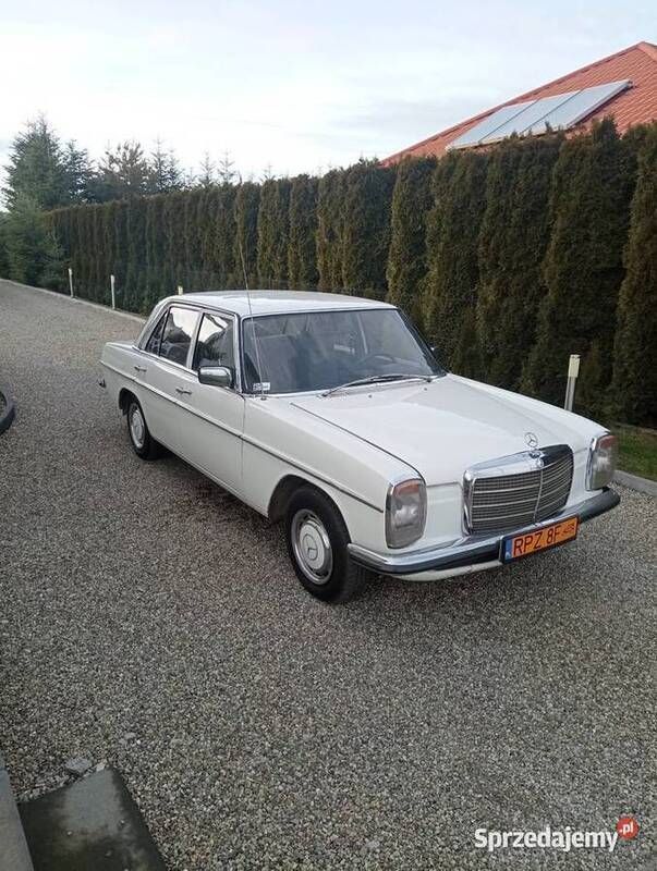 Biały Używany 1975 Mercedes W115 Sedan/Limuzyna | 47 000 zł - Obraz 1/4