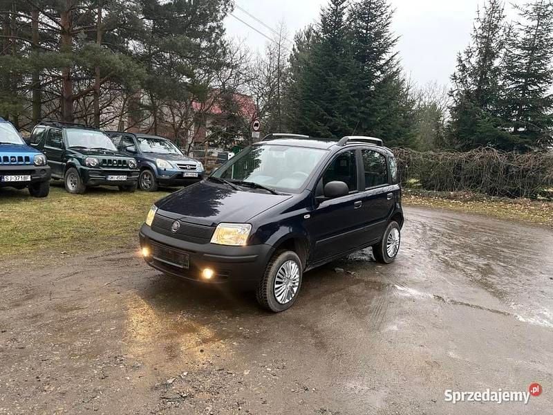Używany 2009 Fiat Panda 4x4 Hatchback | 179 000 zł - Obraz 1/4