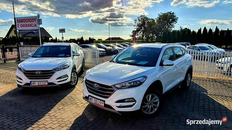 Biały Używany 2017 Hyundai Tucson SUV | 70 000 zł (Uczciwa cena) - Obraz 1/4