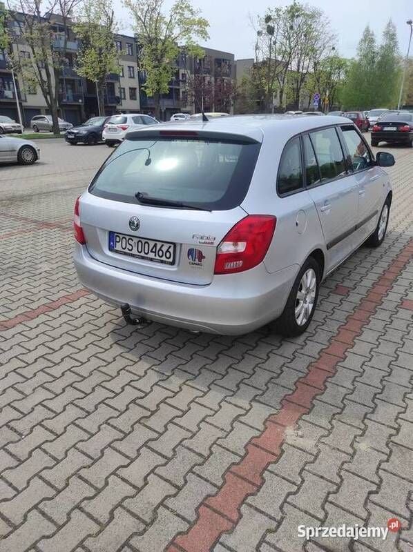 Używany Skoda Fabia 2010 Srebrny Hatchback