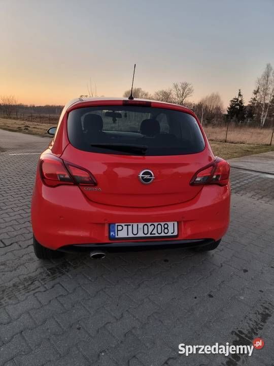 Obraz 4/4