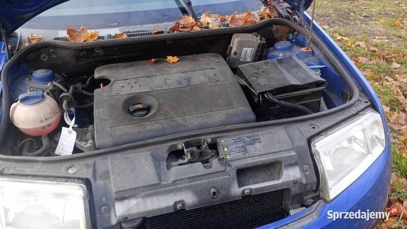 Używany Skoda Fabia 75 KM (55 kW) 2003