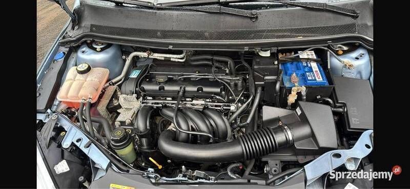 Niebieski Używany 2005 Ford Focus Hatchback | 12 700 zł (Drogi) - Obraz 1/4