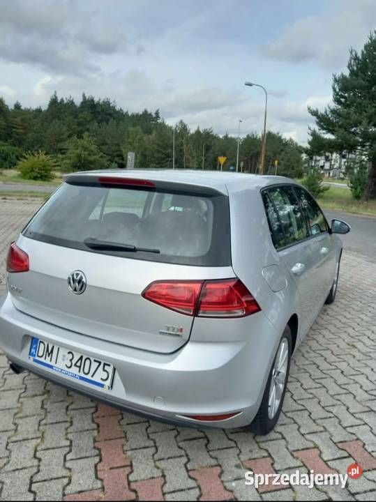 Obraz 4/4
